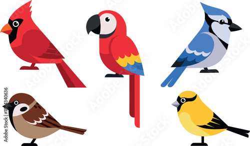 Colorful cartoon bird vector set with parrot, cardinal, blue jay and sparrow for nature design