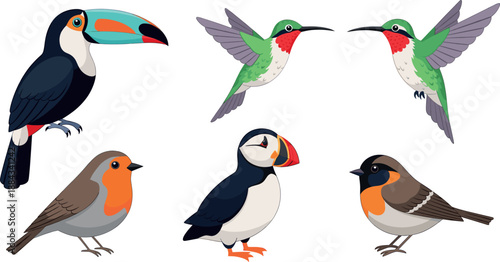 Colorful cartoon bird vector set with toucan, hummingbirds, puffin and robin for nature design