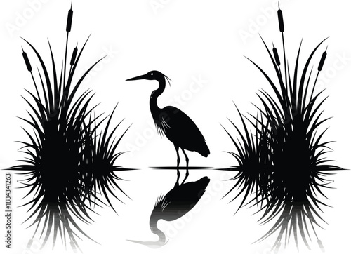 Black Silhouette of a Great Heron Bird Standing in a Pond with Reeds and Water Reflection on White Background