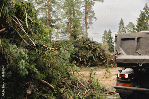 Municipal dump truck removing fallen trees and branches after a storm. Road maintenance and environmental cleanup work in rural area, ensuring traffic safety and infrastructure recovery.