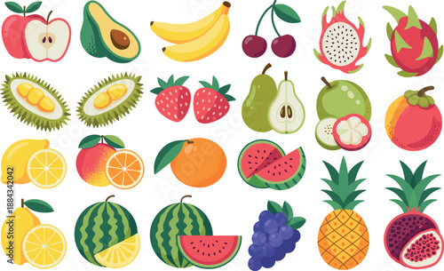 Colorful hand-drawn fruit vector set of tropical and citrus icons isolated on white background collection