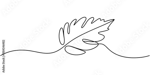 One line drawing vector monstera leaf and palm tree leaves. Modern single line art, aesthetic contour. Perfect for home decor such as posters, wall art, tote bag or t-shirt print, sticker, mobile case