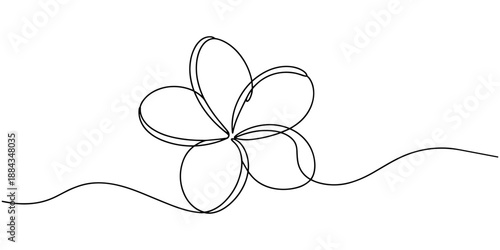 Plumeria flowers in continuous line art drawing style. Minimalist black line sketch on white background, Plumeria flowers in continuous one line art drawing. Frangipani blossom. Vector illustration.