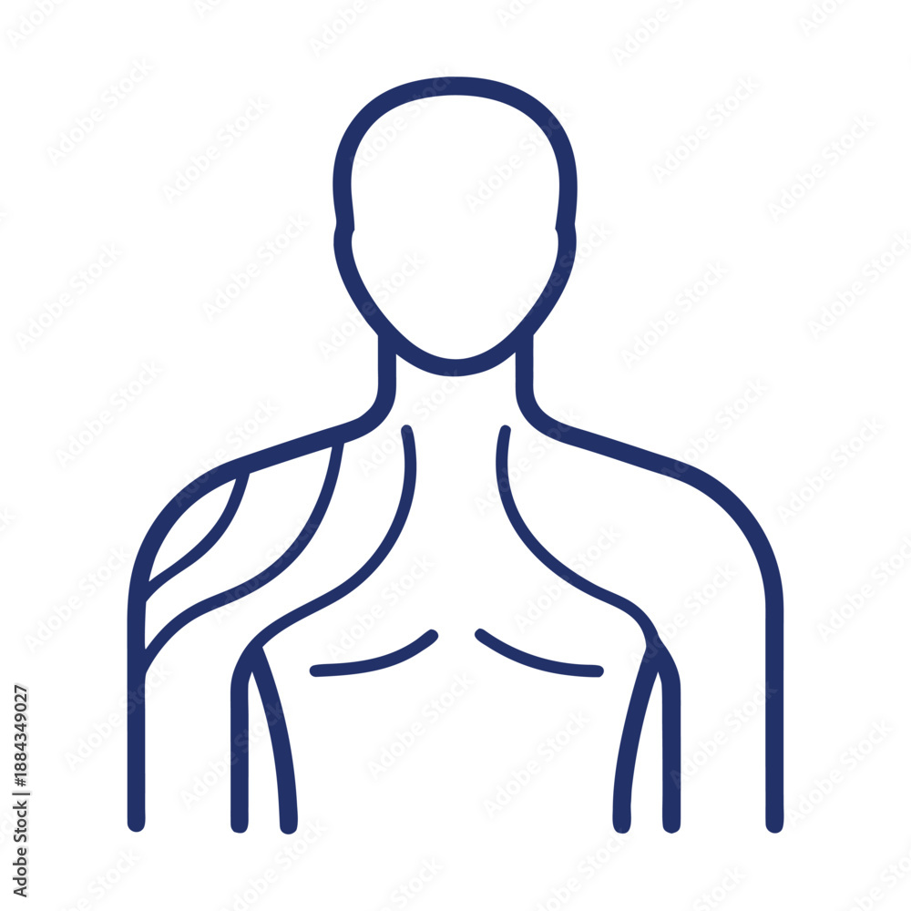 Obraz premium vector illustration of a man line art medical anatomy