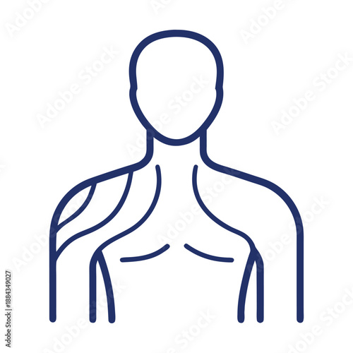 vector illustration of a man line art medical anatomy