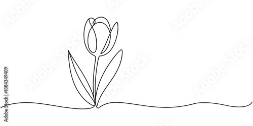 Tulip one line drawing.Abstract flower continuous line. Minimalist contour drawing of tulip. Continuous line drawing of flower tulip.Hand drawn sketch of flower with leaves.
