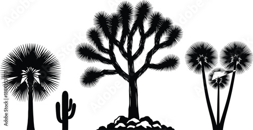 Desert plant silhouettes collection, Joshua tree cactus yucca and palm shapes, arid botanical nature icons, minimal black vector illustration set