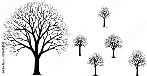 Leafless winter tree silhouettes collection, bare branches deciduous trees set, minimalist forest nature icons, black vector illustration bundle for design projects branding