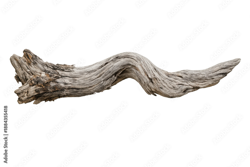 Fototapeta premium Weathered driftwood branch displaying rough texture and natural gnarled shape on transparent background