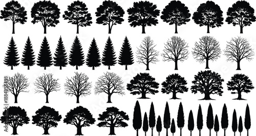 Tree silhouette illustration set with deciduous and conifer forest shapes, black botanical vector collection for landscape design, ecology projects, architectural graphics