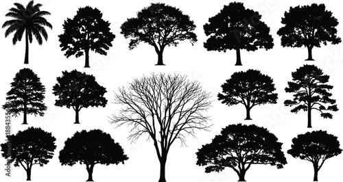 Tree silhouettes collection, diverse deciduous evergreen and palm tree shapes set, natural forest and landscape icons, detailed black flat vector illustration bundle