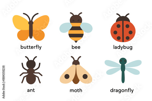 Cute Insect Icons Collection