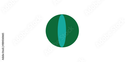 green leaf on white background, flat icon