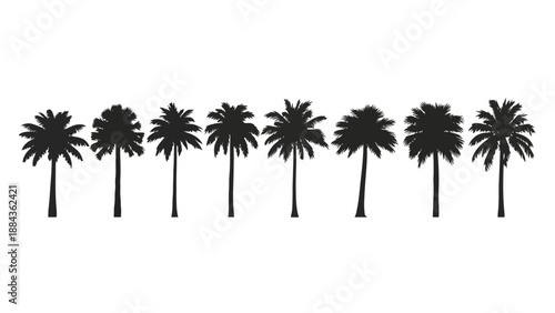 Foto A horizontal line of seven distinct black palm tree silhouettes against a stark white background