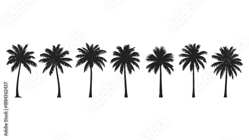 A row of seven silhouetted palm trees against a white background, showcasing their distinctive fronds and slender trunks.