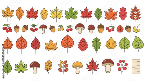 A vibrant collection of colorful autumn leaves, mushrooms, acorns, and berries, presented in a clean, illustrative style against a white background.