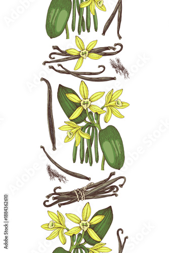 Vanilla hand drawn seamless border