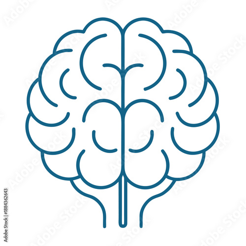Human brain tree on white backgrounds