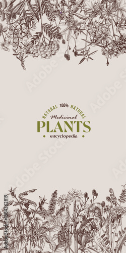 Medicinal plants and herbs banner