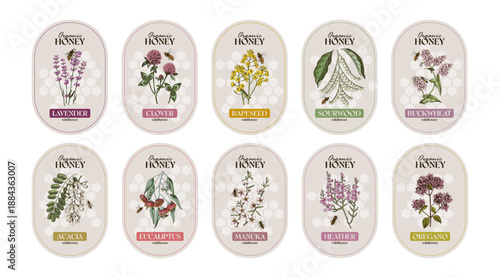 Set of honey labels vector
