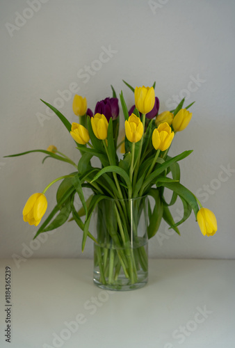 yellow tulips in vase
