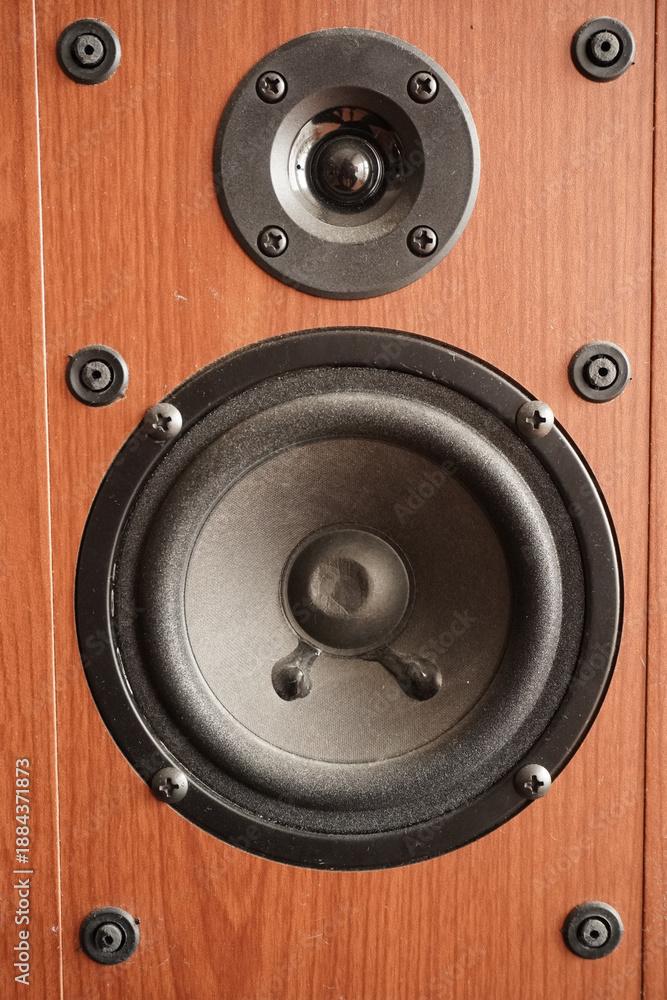 Φωτογραφία Close-up of hi-fi speaker system in wooden enclosure featuring black woofer cone with dust cap and tweeter horn