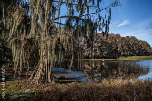 palm point park, newnans lake, alachua county, florida