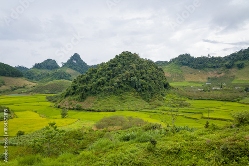 A lush, forested limestone hill stands at the center of vivid green and yellow rice paddies in a broad valley near Mai Chau and Moc Chau, Vietnam. Overcast skies cast soft light across the layered