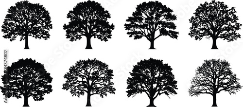 Black And White Vector Silhouette Set Of Domestic Pets And Farm Animals Featuring Detailed Rabbit Cat Parrot Duck Rooster And Dog For Nature Design (23 words)