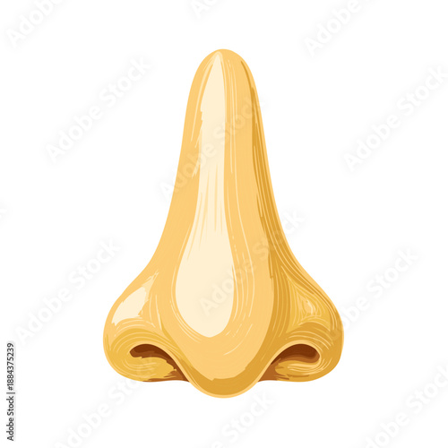 Stylized Nose Illustration Anatomical Detail Cartoon Style Human Body Part Medical Reference