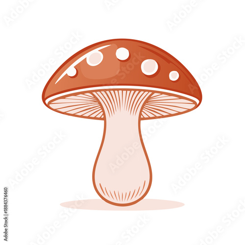 Single Brown Mushroom with White Spots Isolated on White Background Cute Natural Food