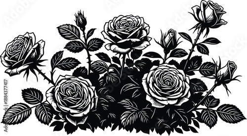 Black and white illustration of a bouquet of roses
