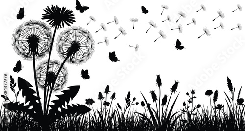 Dandelion meadow silhouette with flying seeds and butterflies, black floral garden landscape vector, spring nature field illustration, wild flower grass summer scene.