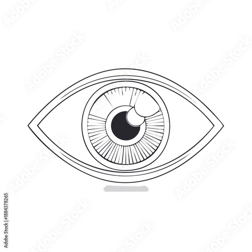 Eye Outline Illustration: Simple Human Eyeball Artwork, Vision Symbol, Visual Organ