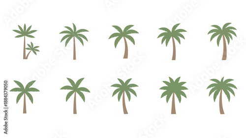 Collection of various palm tree silhouettes.