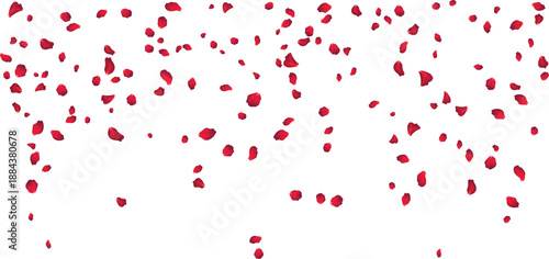 Elegant maroon rose petal rain background for luxury event invitations and galas