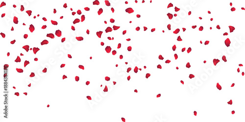 Soft floating rose petals background for Mothers Day cards and spring marketing