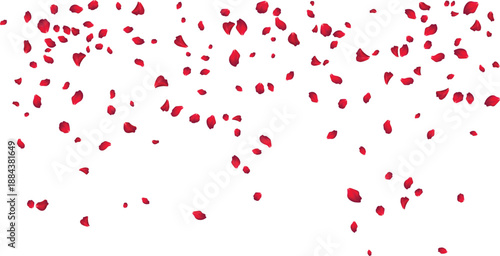 Windblown red rose petals illustration for outdoor summer festival banners