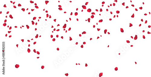 Minimalist falling petals background for clean botanical branding and stationery