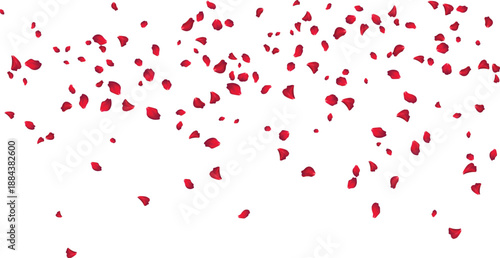 Swirling pink flower petals illustration for perfume packaging and scent marketing