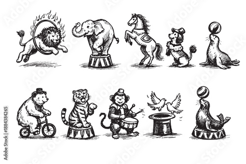 A vintage-style illustration featuring various circus animals, including a lion jumping through fire, elephant, horse, bear, tiger, monkey, dog and seals, all in black and white.