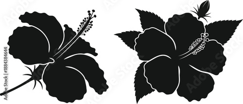 Elegant hibiscus flower silhouettes ideal for tropical designs on transparent background