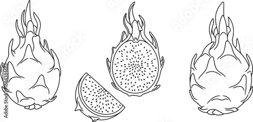 Detailed dragon fruit illustrations with various views perfect for designs on transparent background silhouette