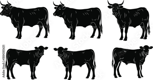 Set of black cow and bull silhouettes, farm animal livestock figures standing, beef cattle vector illustration, dairy ranch farming icons, isolated animals.