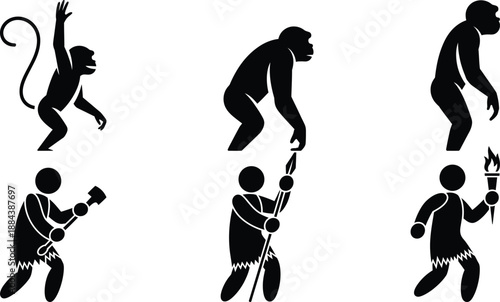 Evolution of human from monkey to modern man