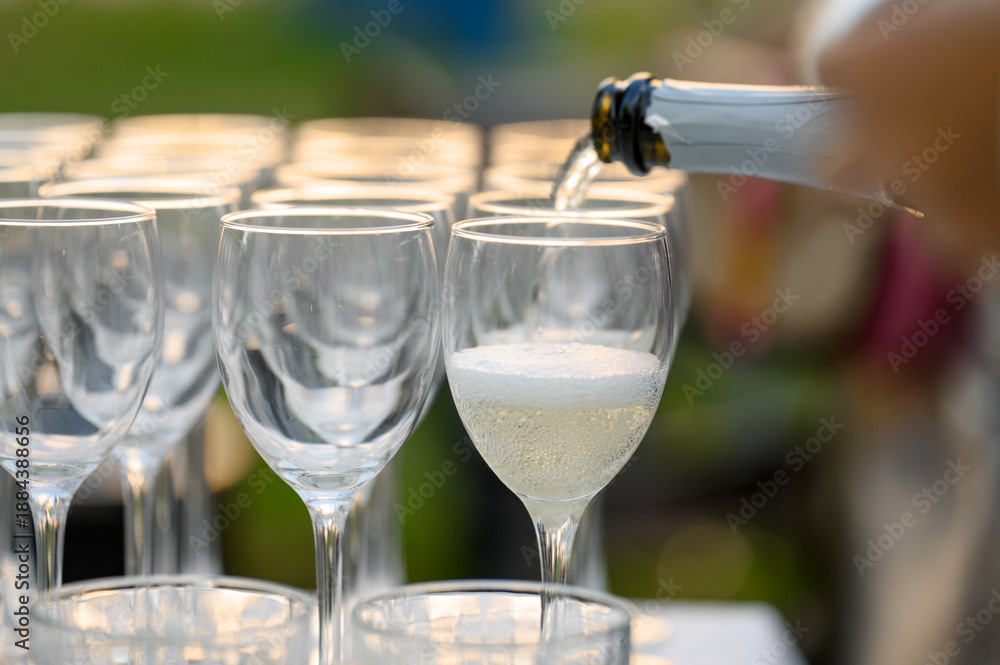 Obraz premium The waiter pours light sparkling wine into glass glasses.