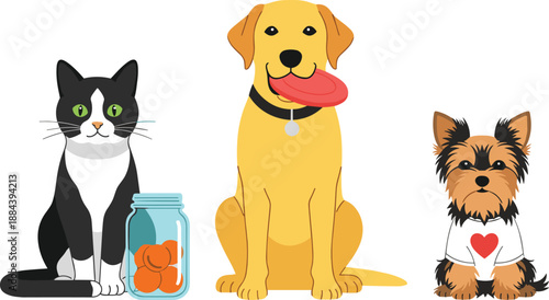 Tuxedo cat with treat jar, Golden Retriever holding frisbee, small Yorkshire Terrier in heart shirt, pet accessories and cute domestic animal characters, vector.