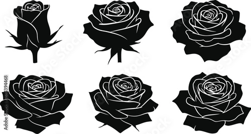 Elegant black rose arrangements with varying bloom stages on transparent background silhouette