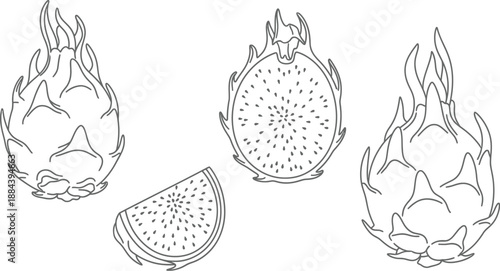 Detailed dragon fruit illustration with whole and sliced shapes on transparent background silhouette