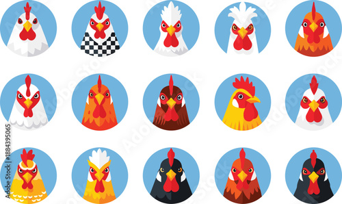 Various chicken and rooster head icons set, colorful poultry flat vector illustrations, farm bird portraits in blue circles, agriculture livestock design elements.